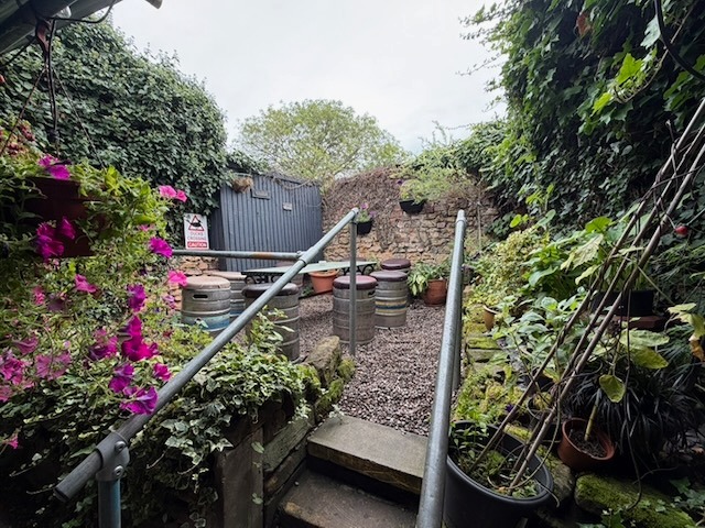 Leafy beer garden